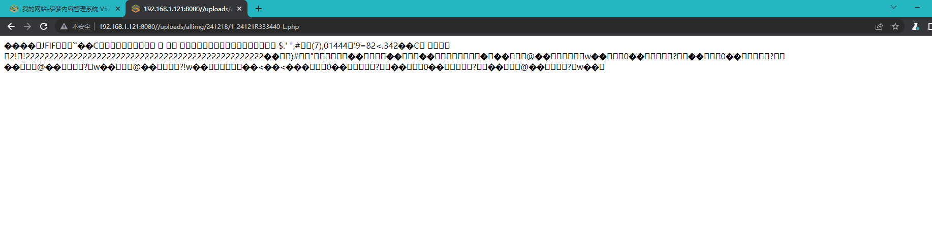 image-20241218233639800